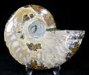 Agatized Ammonite Fossil (Half) #21275-1